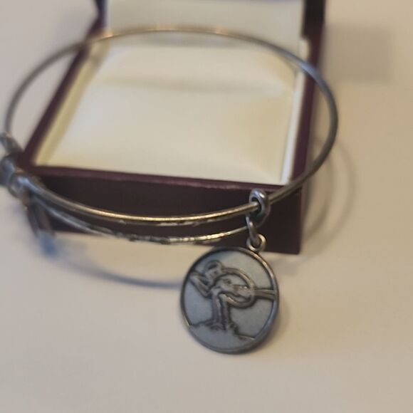 Alex and Ani (+) Energy Team USA Bracelet Team USA Skiing 2013 - Picture 2 of 5